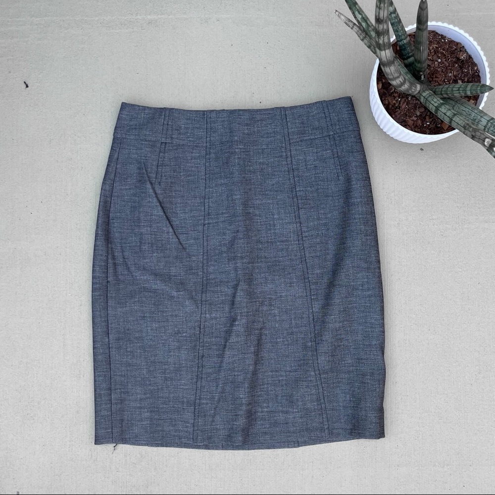 Ann Taylor skirt
